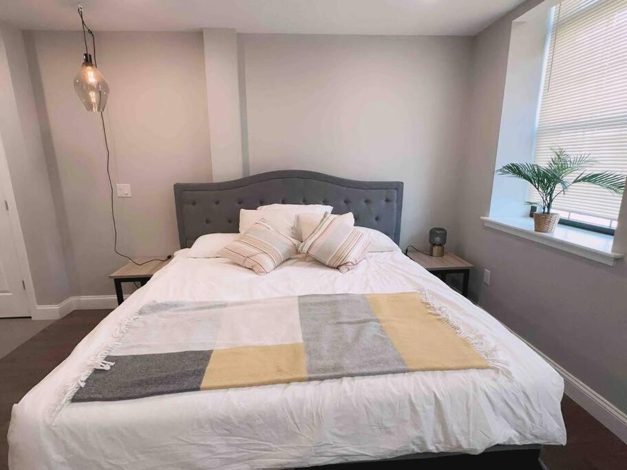 308 Cozy And Warm King Bed In Center Apartment *